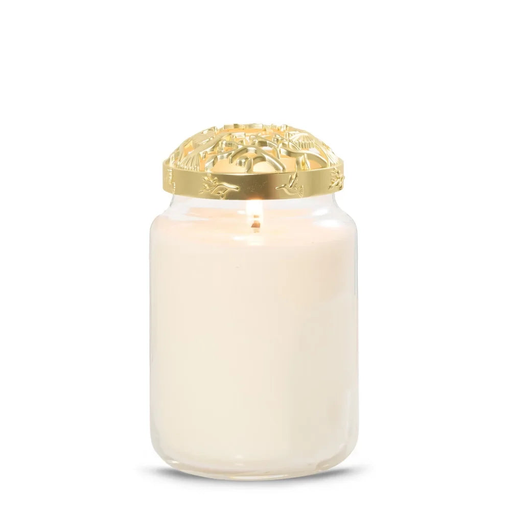 Hummingbird Illuma-Lid® Jar Candle Topper