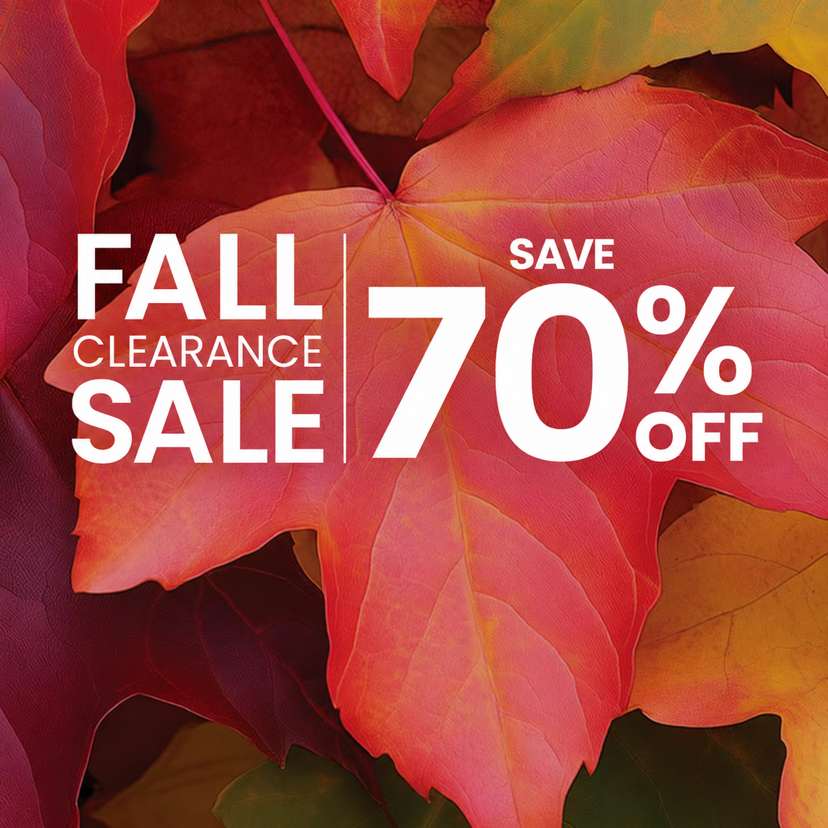 Fall Clearance